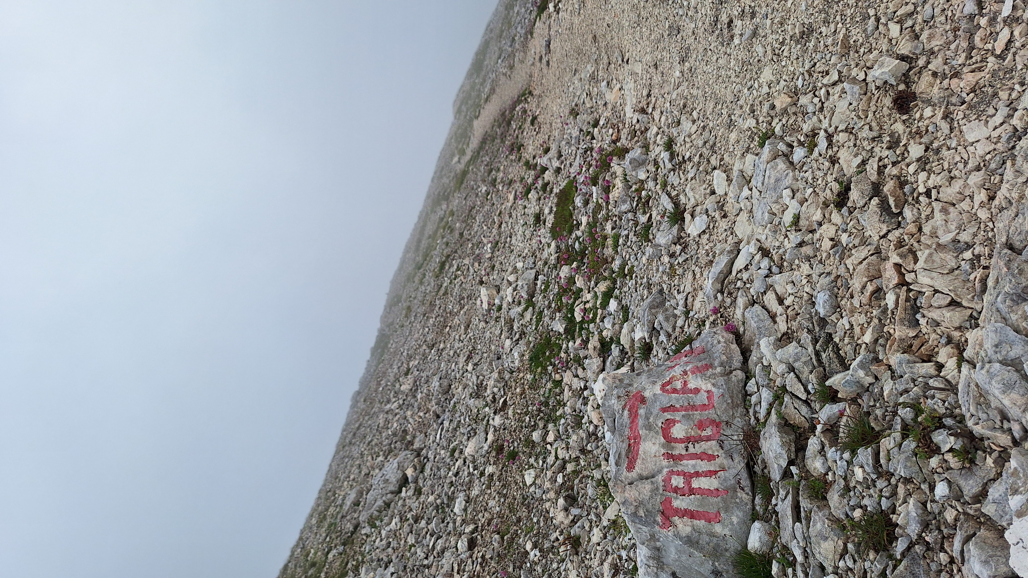 2025 Photo 3